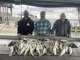 Photo attached to Brad’s review: three anglers with their catch